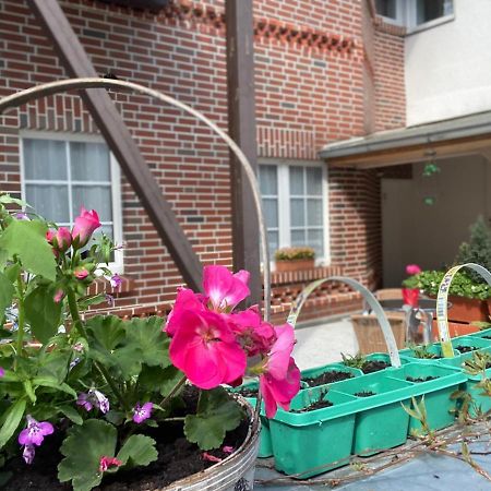 Pension Zum Blumchen Schwerin  Exteriör bild